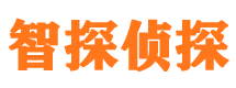 罗田侦探